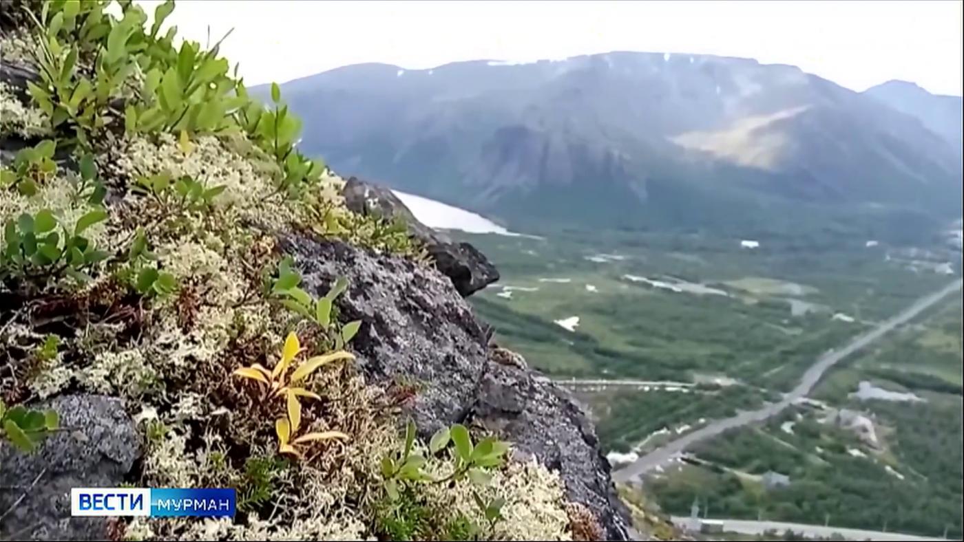 Что может предложить Мурманская область туристам