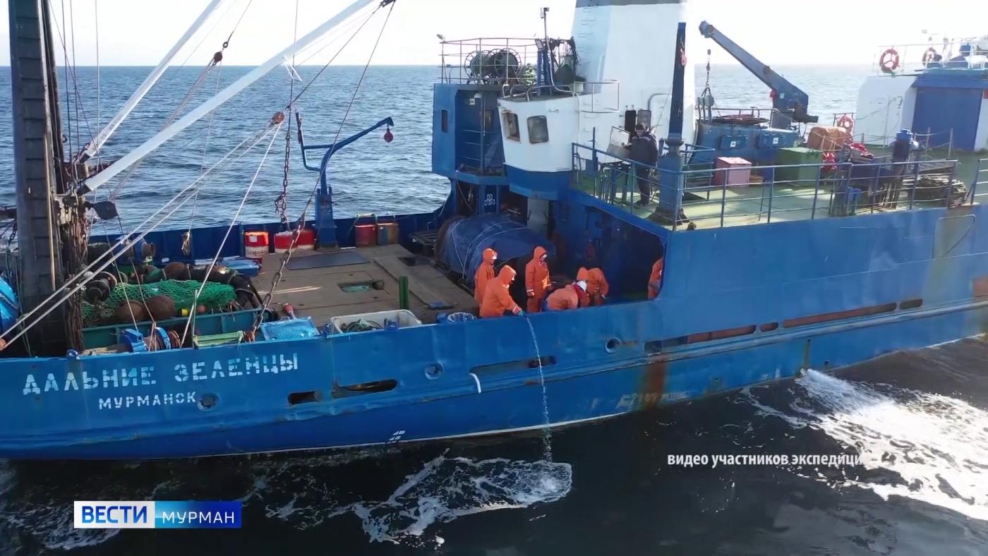 Шторм под водой и жизнь во льдах: молодые ученые провели исследования арктических морей