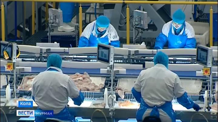 Более 138 тысяч тонн рыбы и морской продукции экспортировали из Мурманской области
