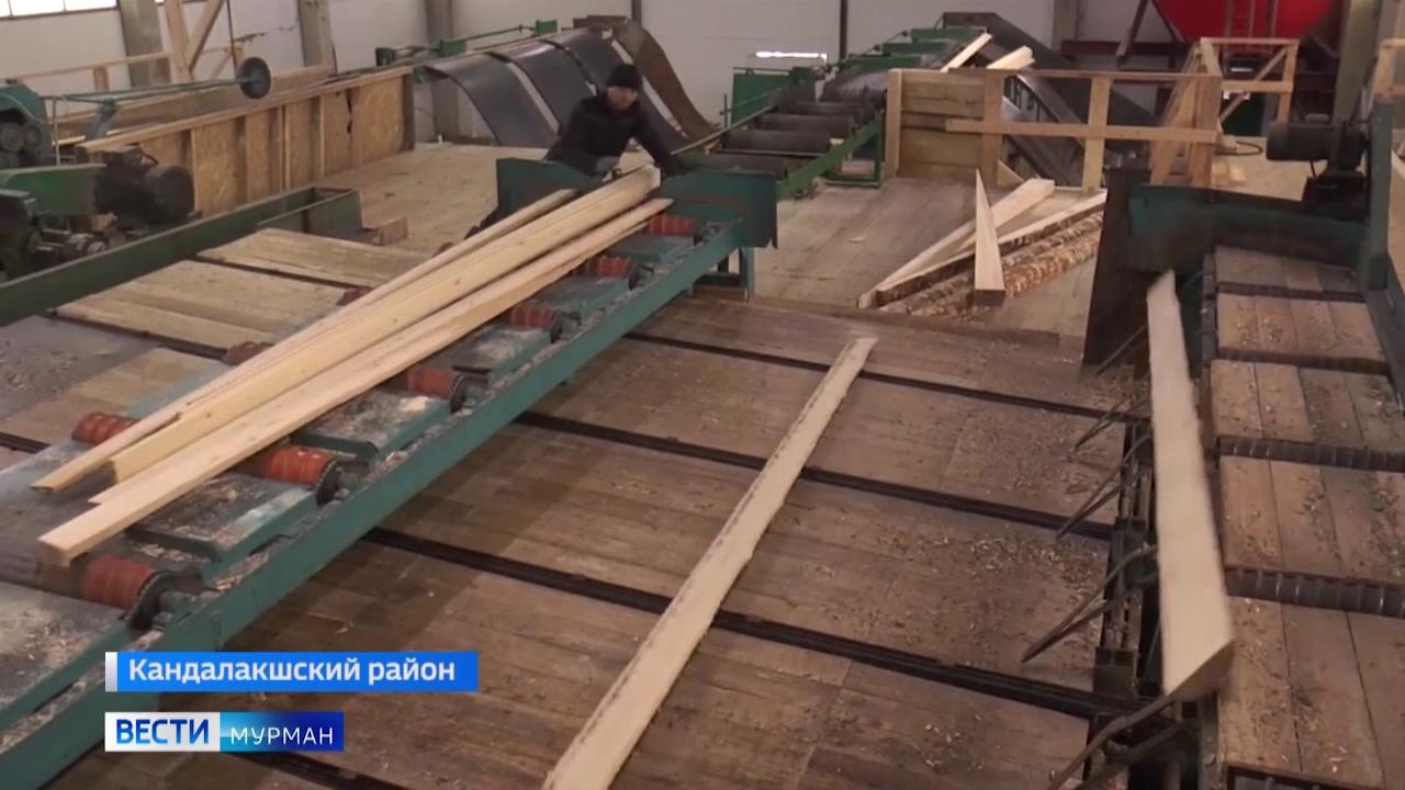 Глава Кандалакшского района посетил цех по обработке древесины