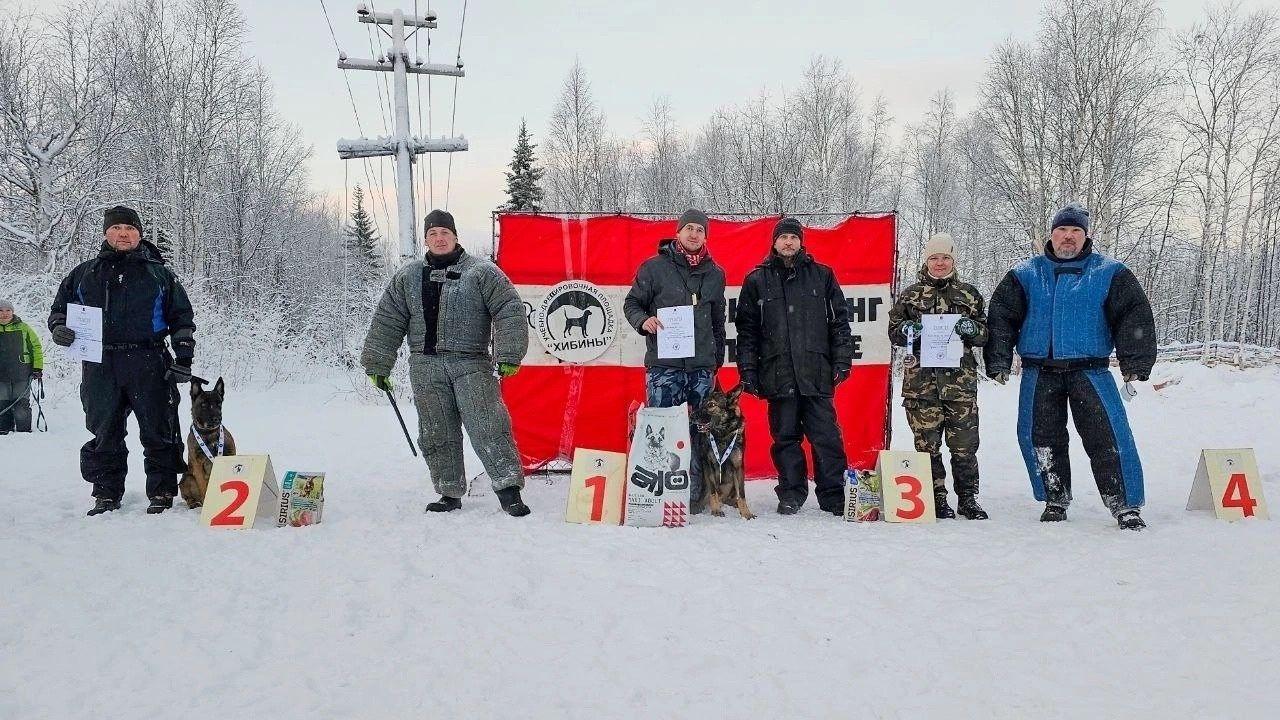 Северяне с &quot;верными друзьями&quot; соревновались на региональном чемпионате по собаководству 