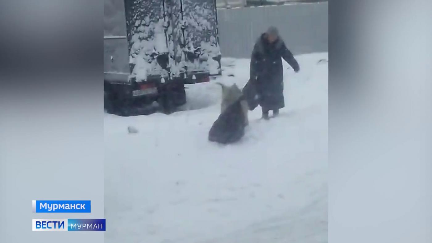Жильцы дома на улице Полухина в Мурманске ведут упорную борьбу с пенсионеркой-барахольщицей