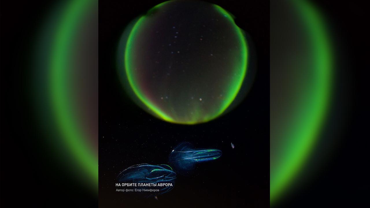 Участник фотоконкурса "Самая красивая страна" показал, как выглядит полярное сияние из-под воды