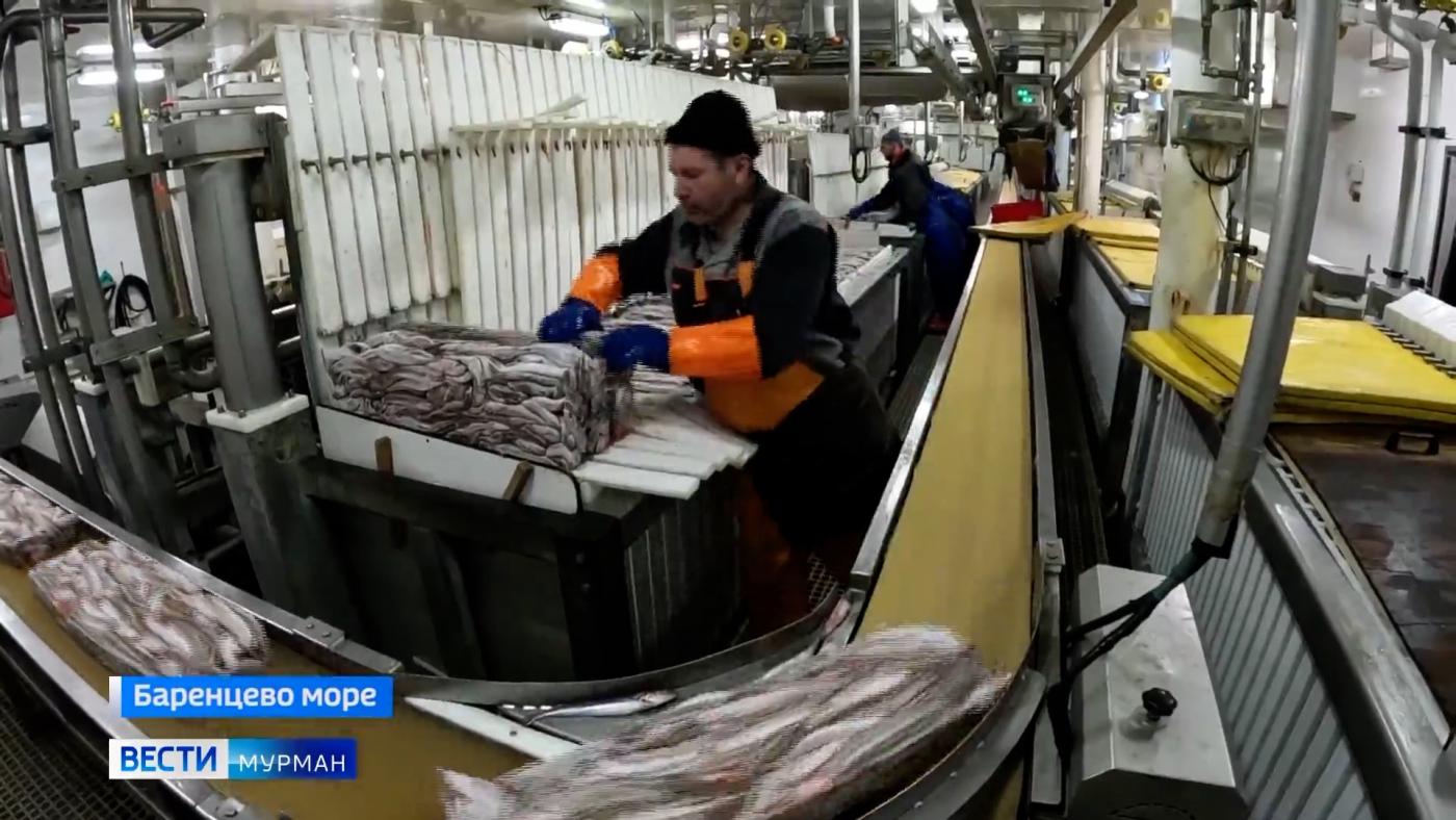Мойва в Мурманске: первое в 2024 году судно с "народной рыбкой" на борту зашло в заполярный порт