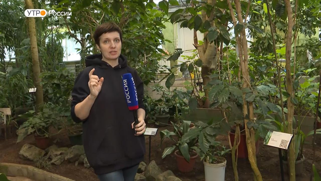 &quot;Утро России&quot; встречаем в окружении экзотических для Арктики растений Полярно-альпийского ботанического сада