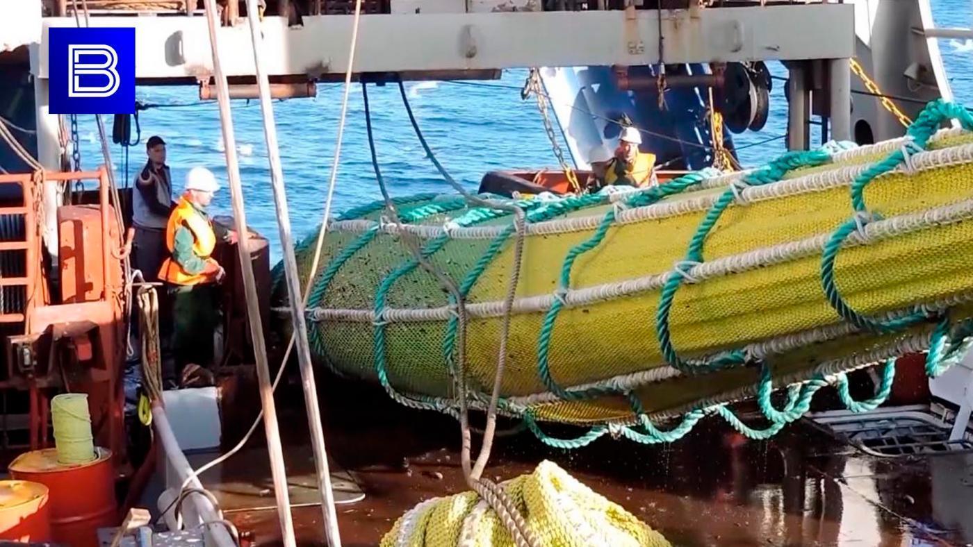 Общероссийский вылов рыбы и морепродуктов превысил 1,6 млн тонн