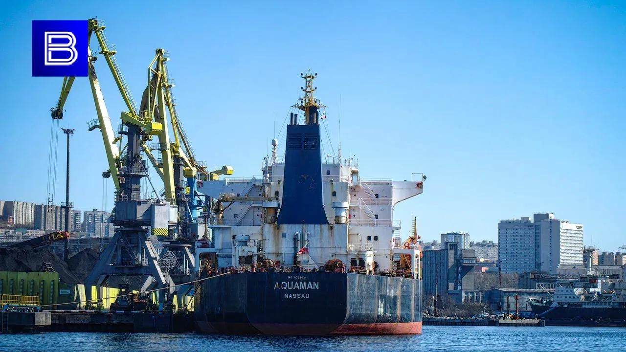 Порт для перевалки грузов в Мурманской области построит белорусская компания