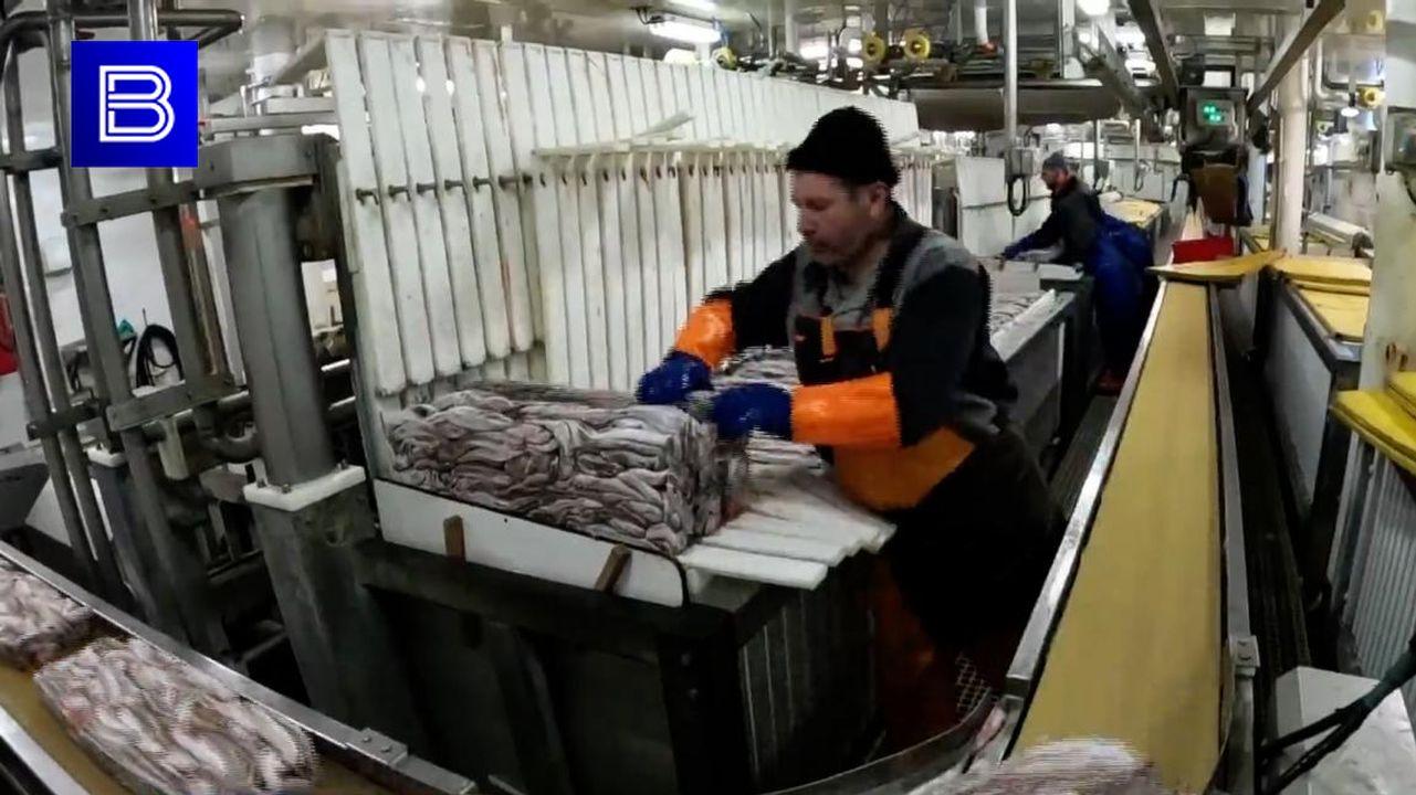 Мурманская область на втором месте по уровню зарплат в Росрыболовстве