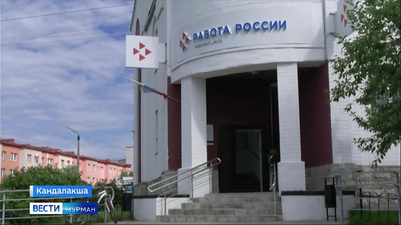 Ярмарка вакансий: в кадровом центре рассказали о востребованных в Мурманской области специальностях 