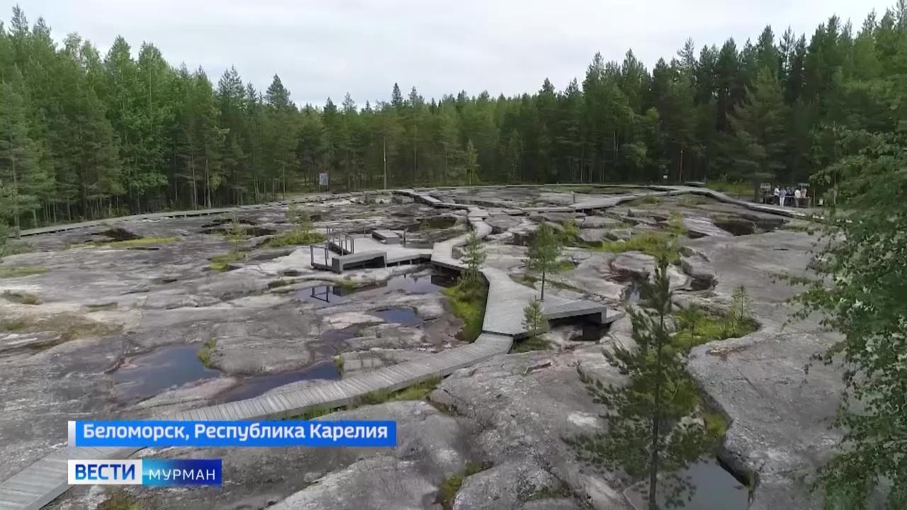 Биологи и геологи из Санкт-Петербургского университета изучили карельские петроглифы