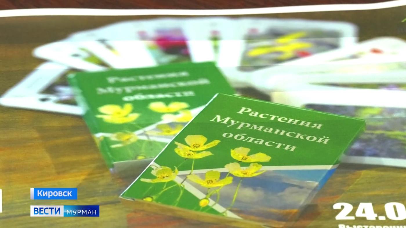 "Человек дела": заполярный ученый рассказывает о растениях с помощью уникальной карточной игры