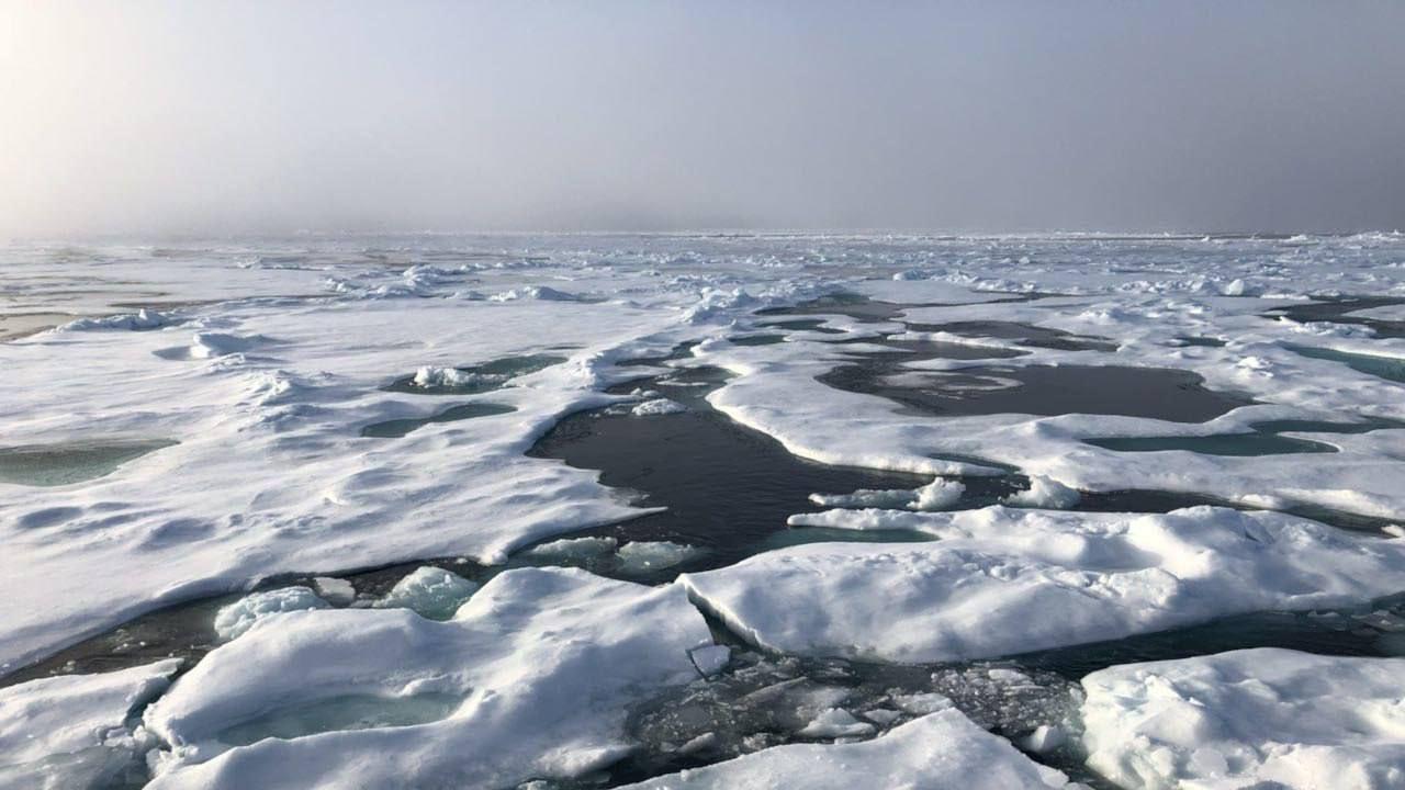 Ученый: ледовая обстановка в арктических морях несет риски для судоходства