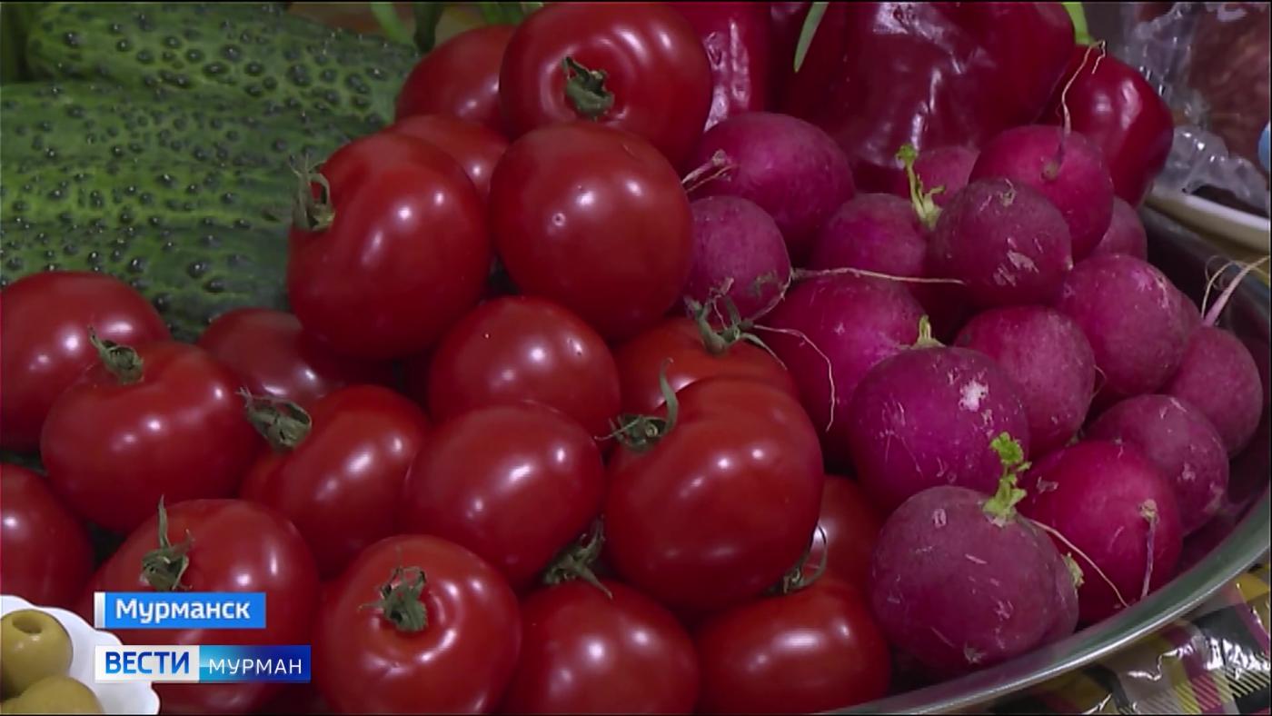Готовить на ощупь: в Мурманске состоялся "Кулинарный баттл"