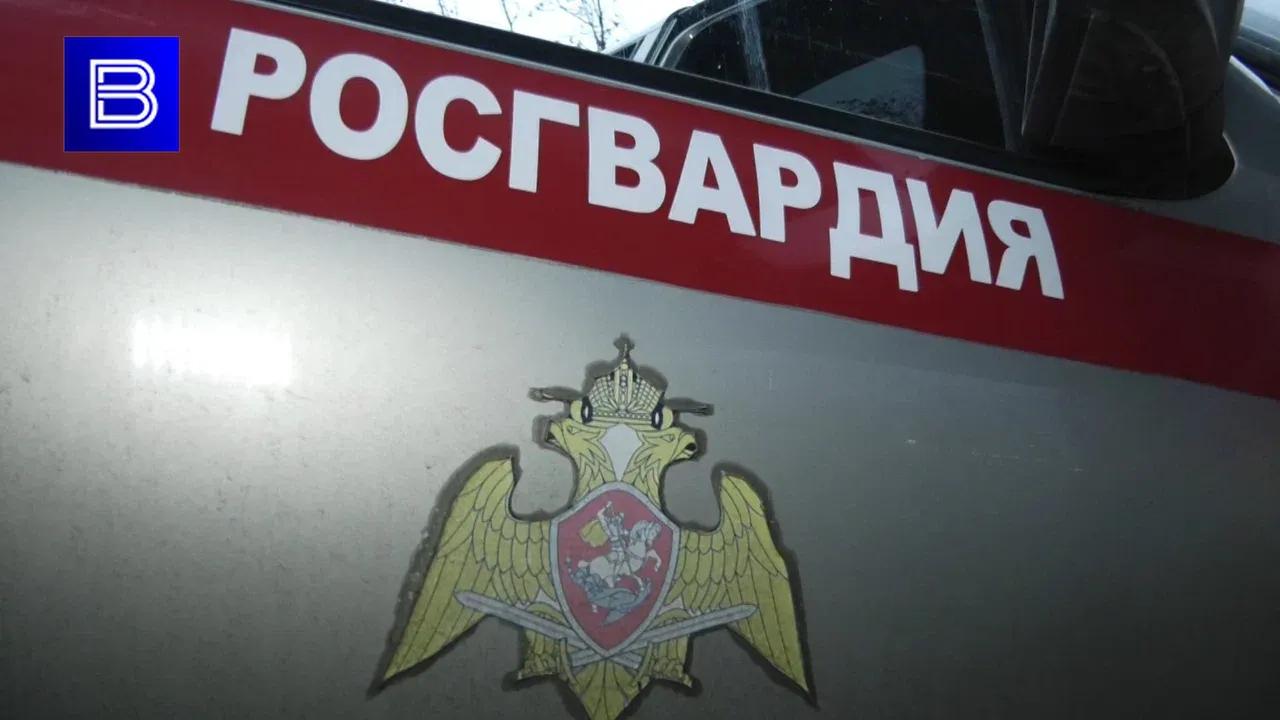 Ночью в Мурманске задержали пьяного водителя
