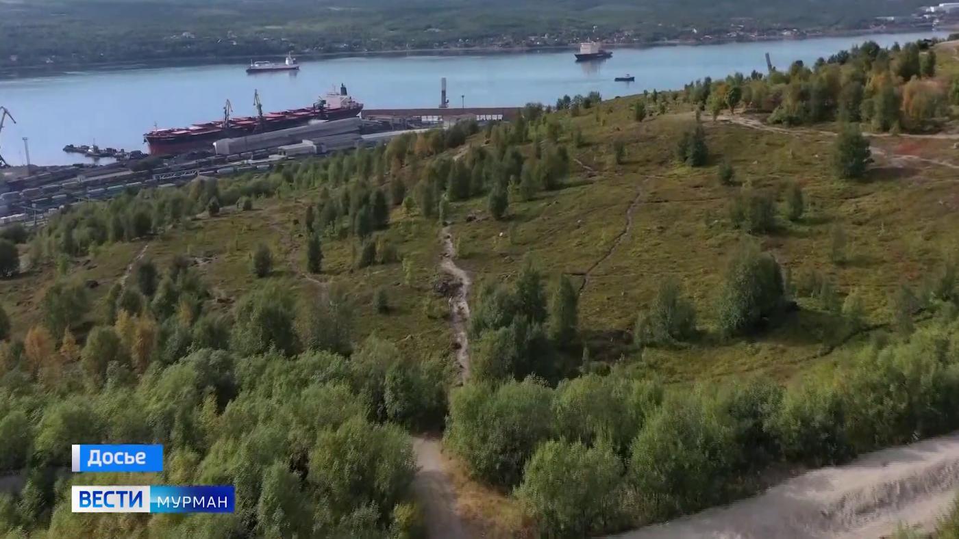 Статус памятника природы присвоили скалистому холму в районе Семеновского озера 24 декабря 1980 года