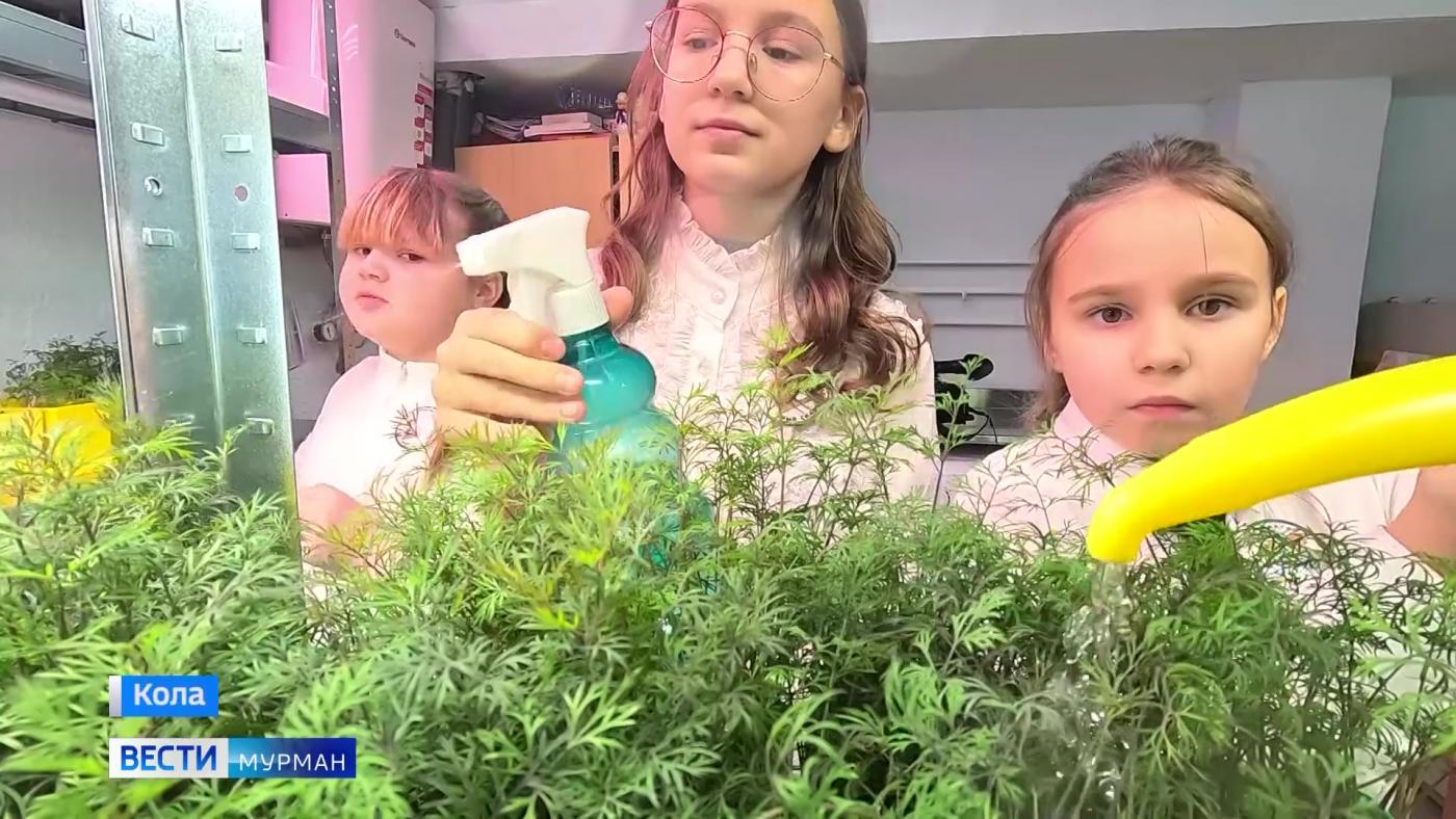 Ученики кольской воскресной школы борются с влиянием полярной ночи, выращивая зелень