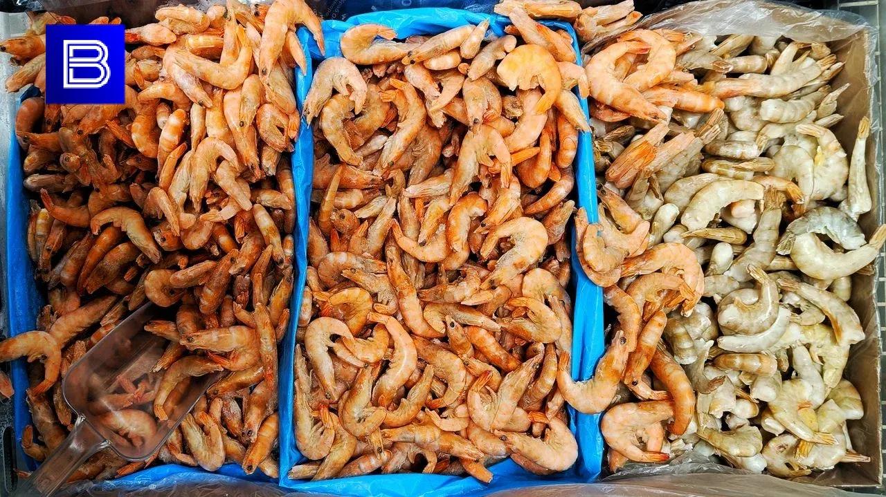 Мурманская область экспортировала более 150 тысяч тонн рыбной продукции