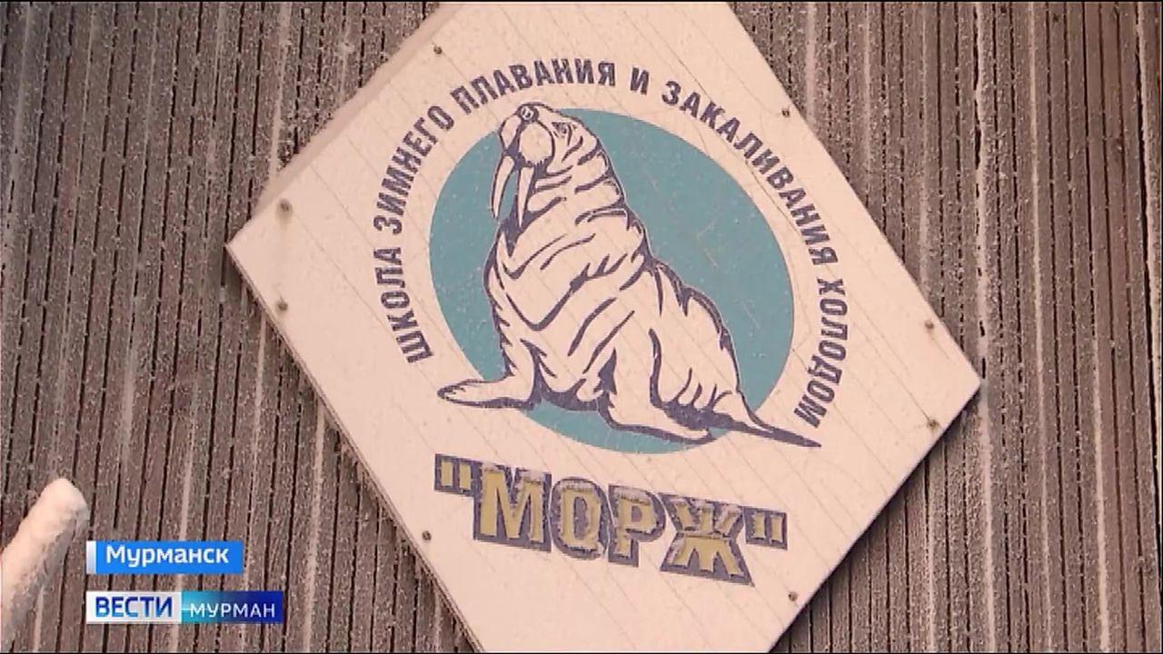 Подготовиться к Крещенским купаниям без вреда для здоровья: секреты мурманских моржей
