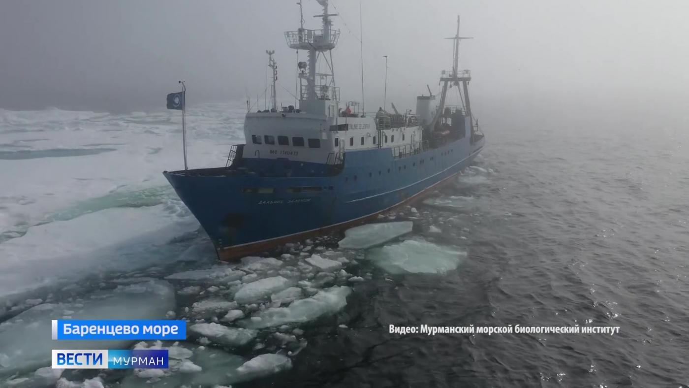 "Космос" под водой: морские биологи Мурмана 90 лет на научной вахте
