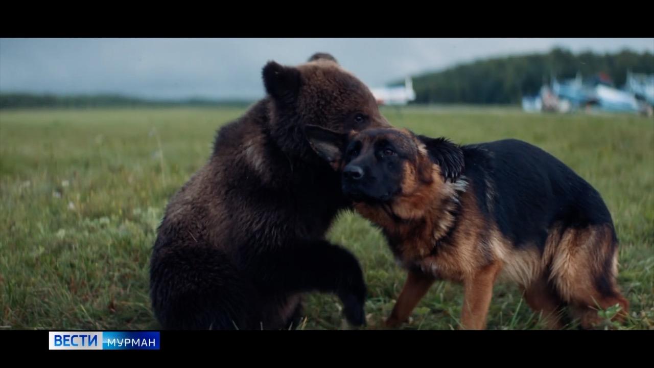 На большие экраны кинотеатров вышел художественный фильм "Пальма 2"