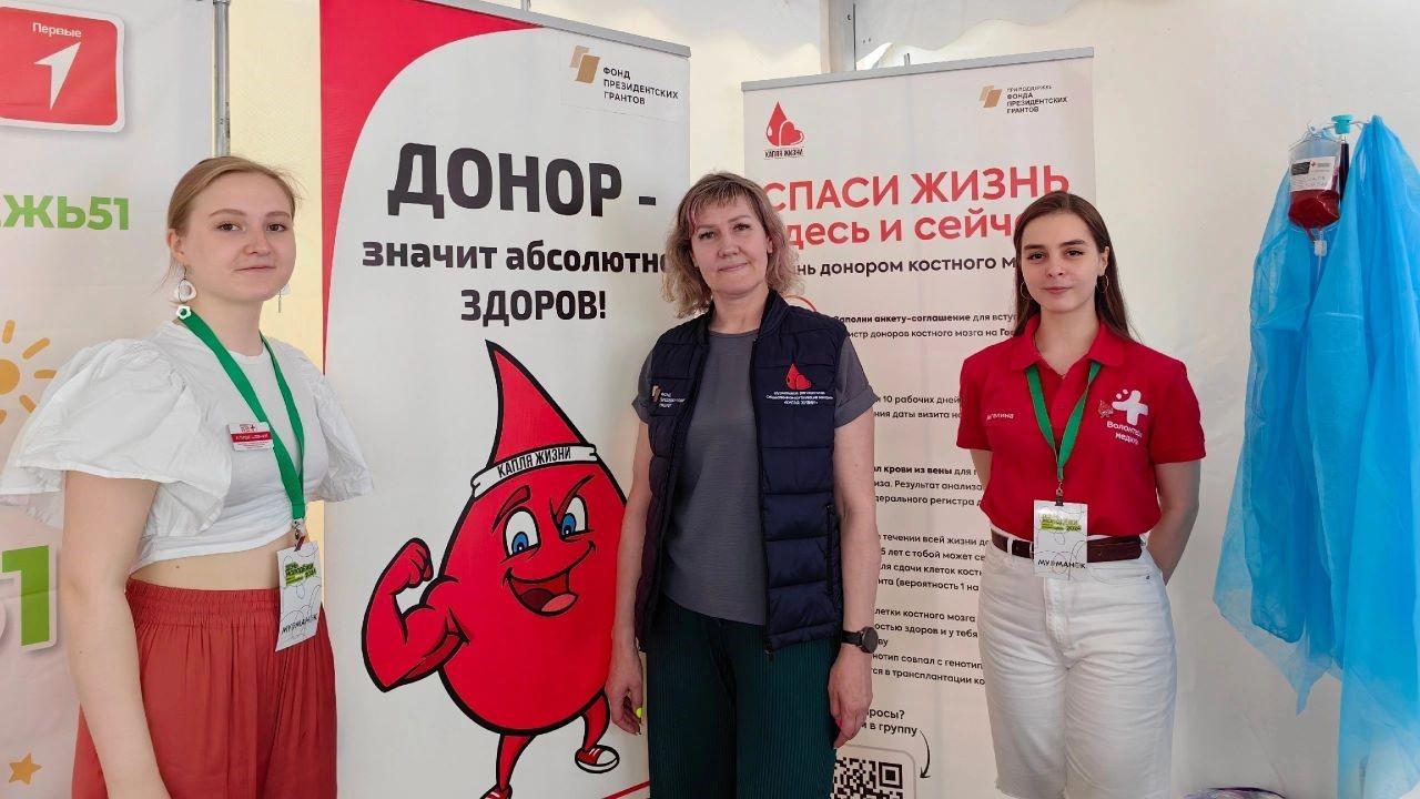 В 2024 году 857 жителей Мурманской области стали донорами впервые