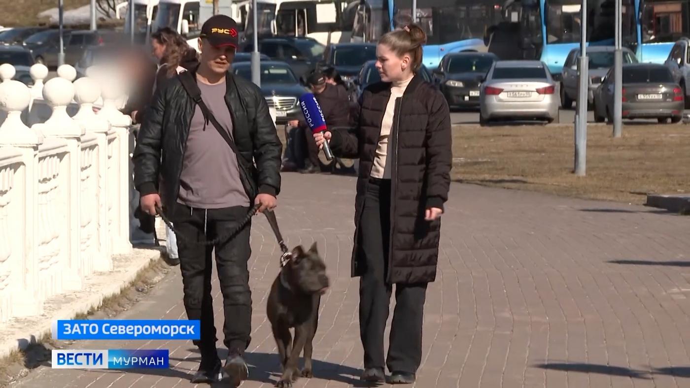 "Если не мы, то кто?" – так думал североморец Александр Гашков, отправляясь в зону СВО