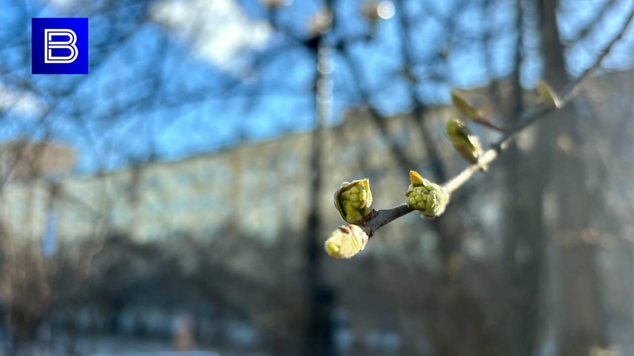 В Мурманской области 18 мая будет прохладно