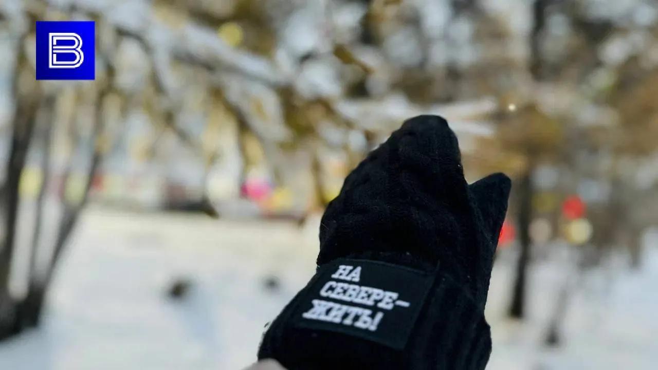 Специалисты выбирают Мурманскую область: 446 человек переехали в регион с проектом "Курс на Север"