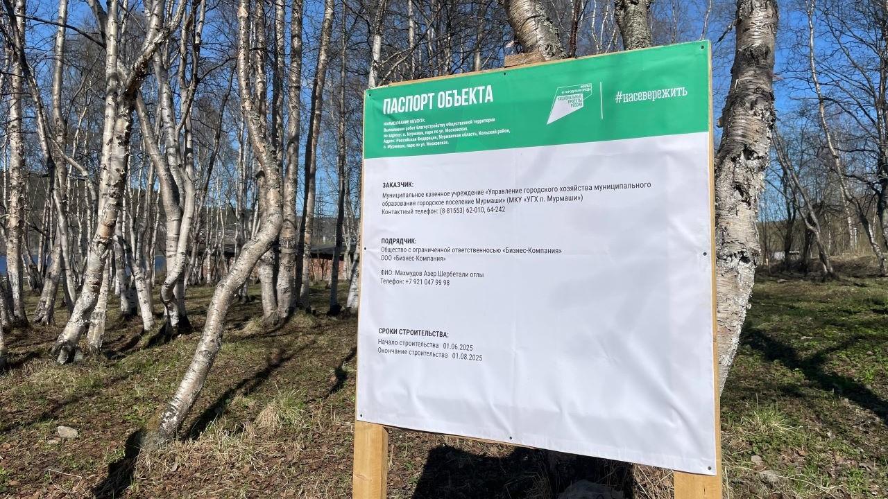 Уголок для тихого отдыха, мечта спортсменов и открытая сцена: в Мурмашах приступили к благоустройству парка