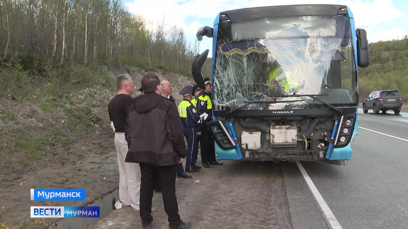 Пассажирский автобус попал в аварию на подъезде к Североморску: есть пострадавшие
