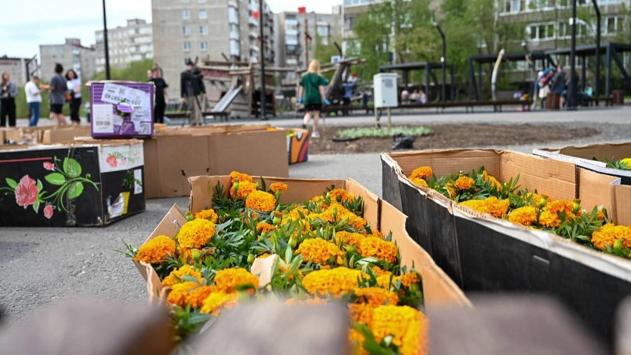 Озеленительная кампания стартовала в парке "Кольский" в Мурманске