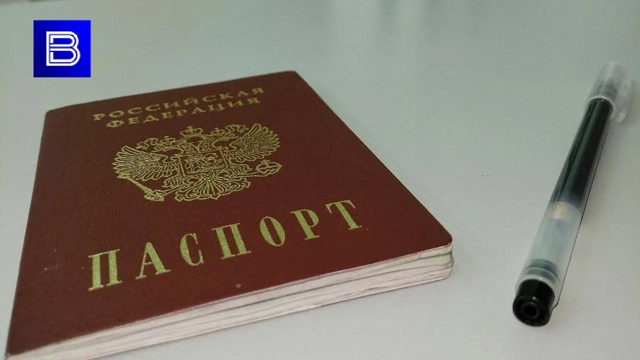 После первых итогов ЕГЭ-2025 в Мурманской области 12 стобальников