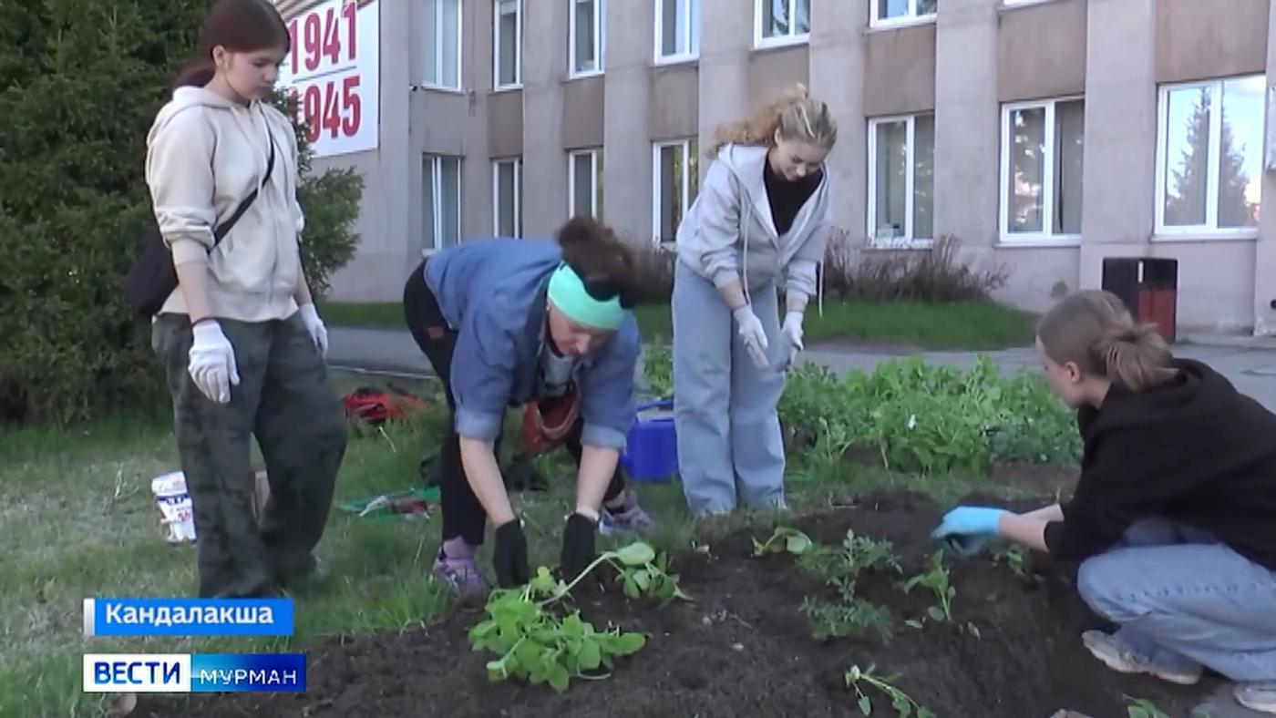В Кандалакше школьники украшают город и получают первую трудовую практику