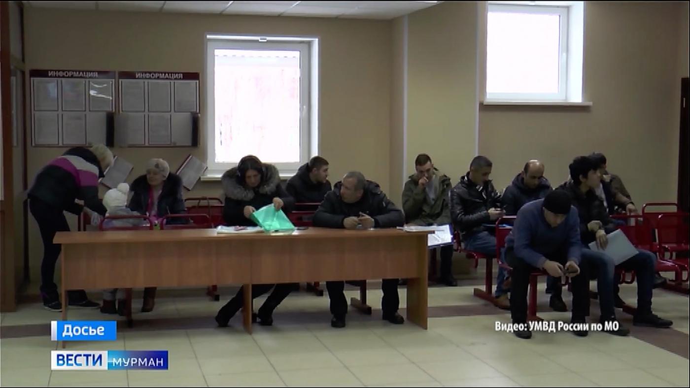 Мигрантов в Мурманской области становится меньше, а проверок их деятельности – больше