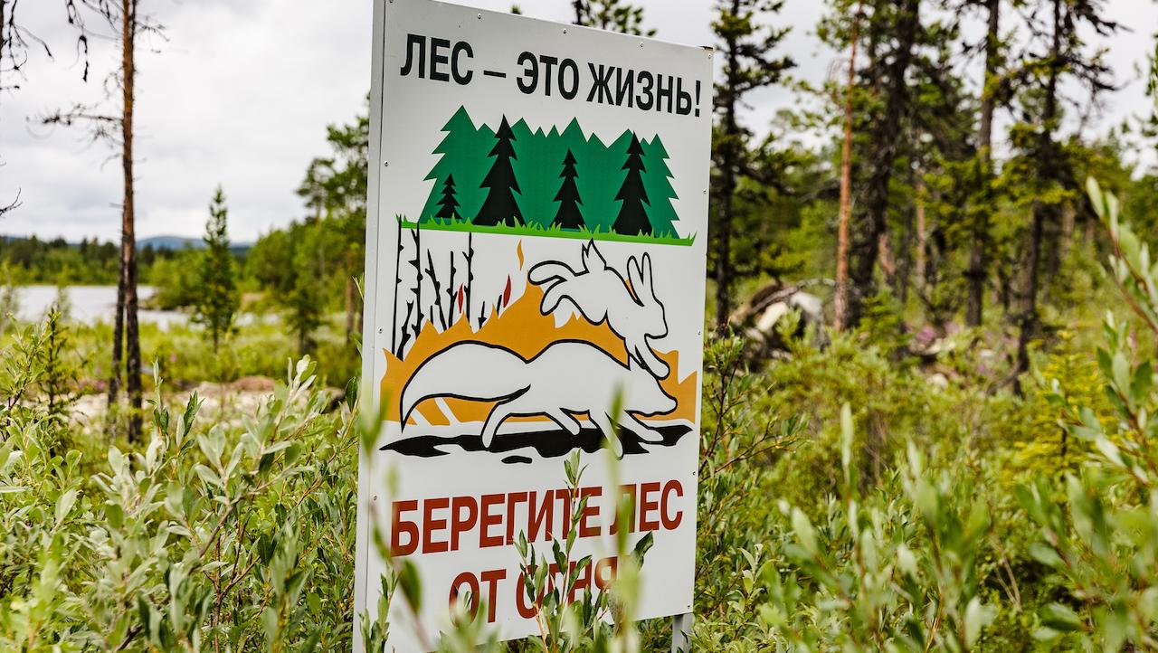 В Мурманской области усилили контроль за соблюдением правил пожарной безопасности в лесах