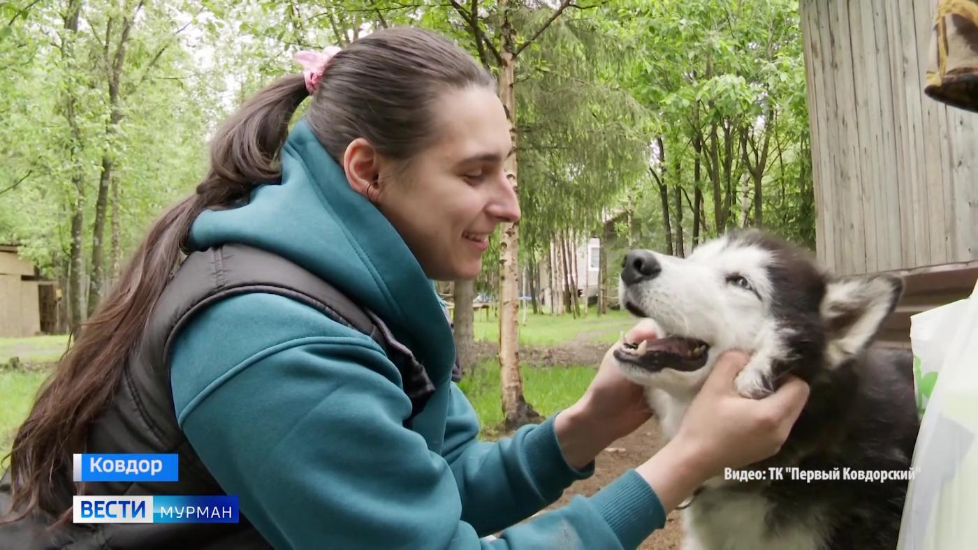 Подарки для бездомных собак и кошек привезли сотрудники градообразующего предприятия Ковдора