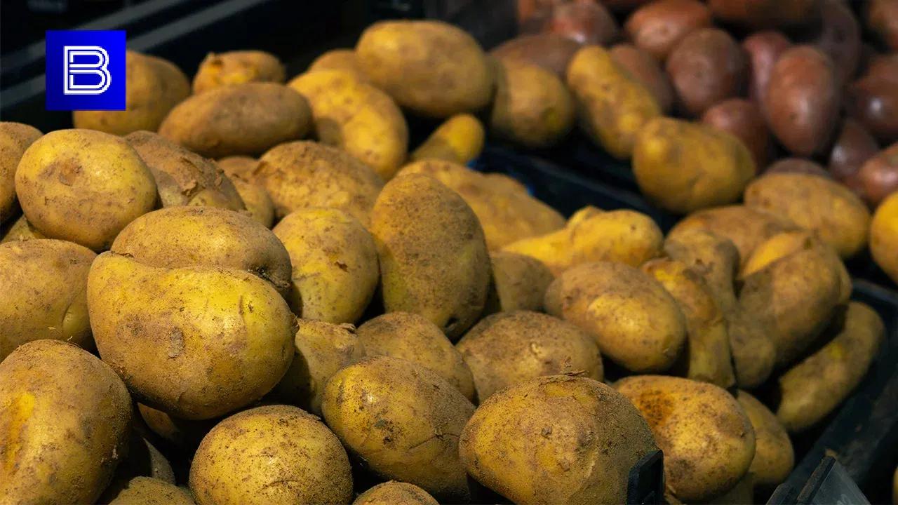 Цены на овощи и мясо в Мурманской области снизились 