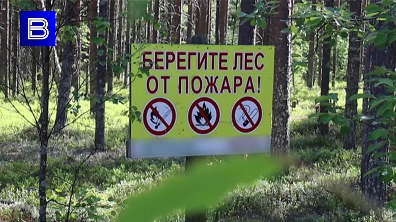 Более 60 пожаров потушили в Мурманской области с начала сезона