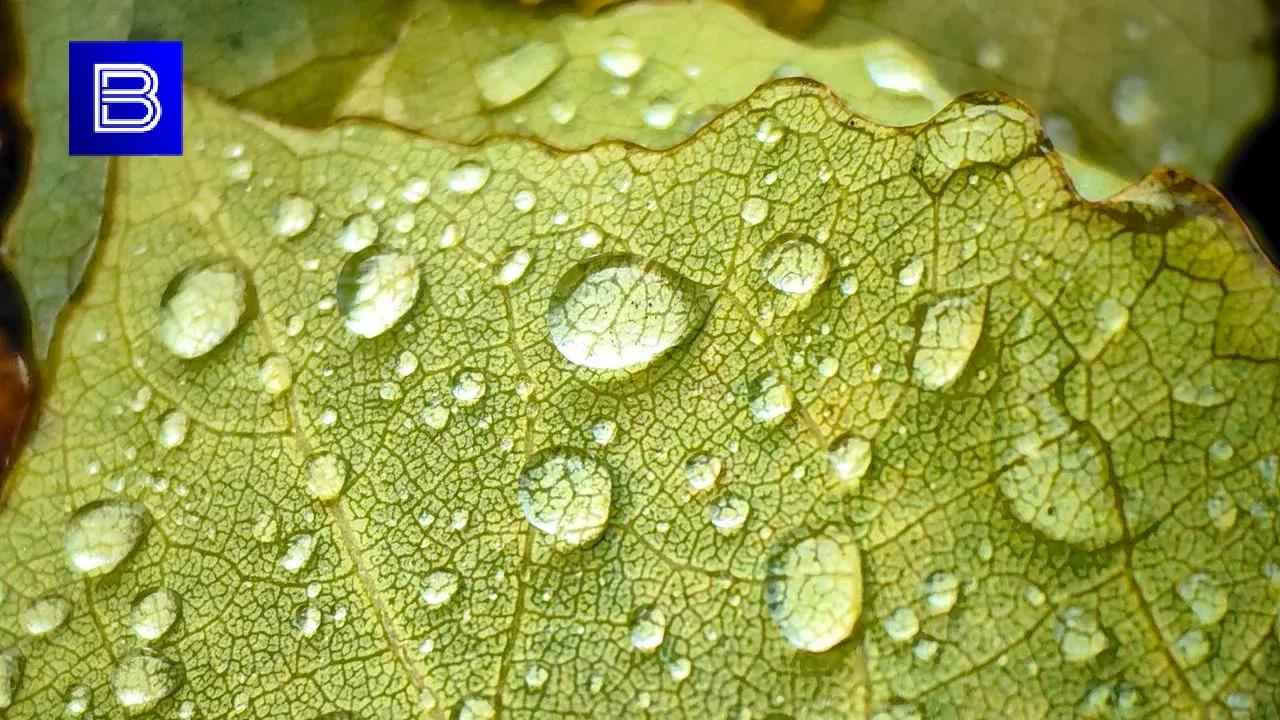 Прогноз погоды по Мурманской области на 8 сентября