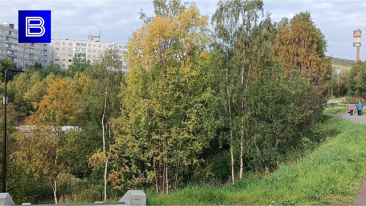 Мурманская области 20 сентября окажется под влиянием циклона