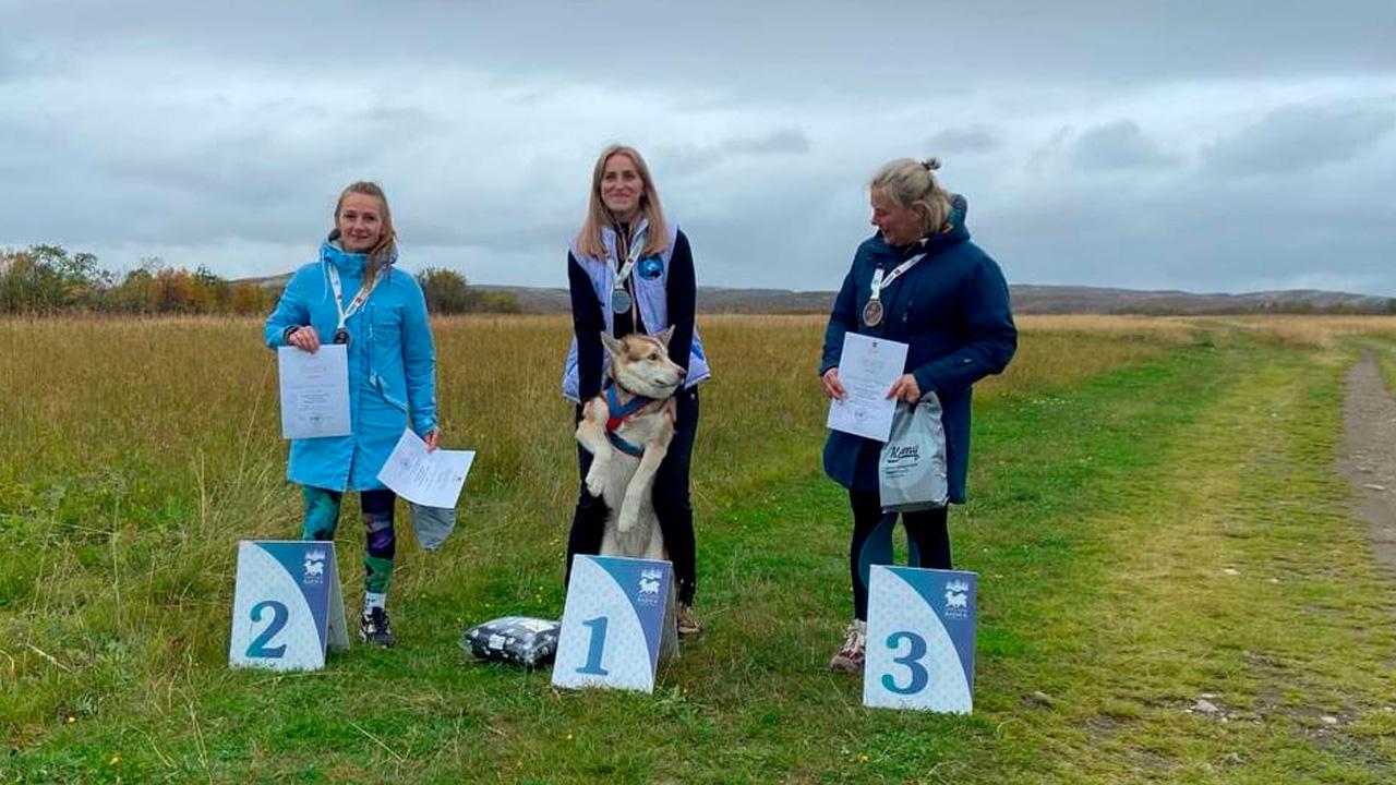В Мурманской области определили лучших спортсменов в бесснежных дисциплинах ездового спорта