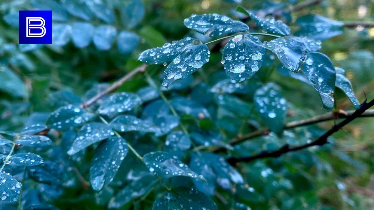 В Мурманской области 24 сентября ожидается ослабление ветра