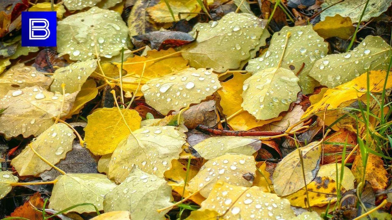 Прогноз погоды в Мурманской области на 25 сентября