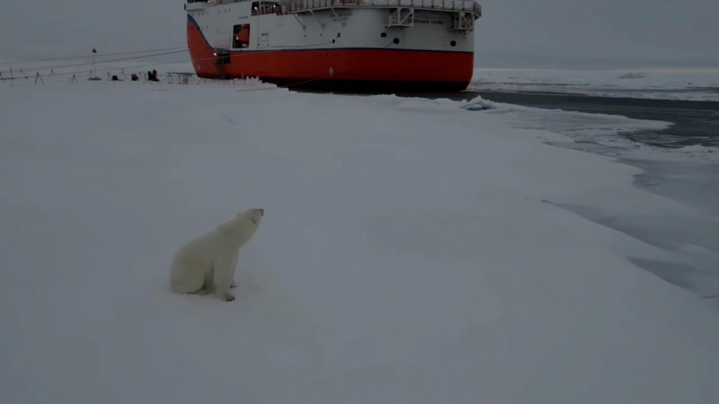 Новый научный лагерь во льдах Арктики развернули полярники дрейфующей станции &quot;Северный полюс-42&quot;