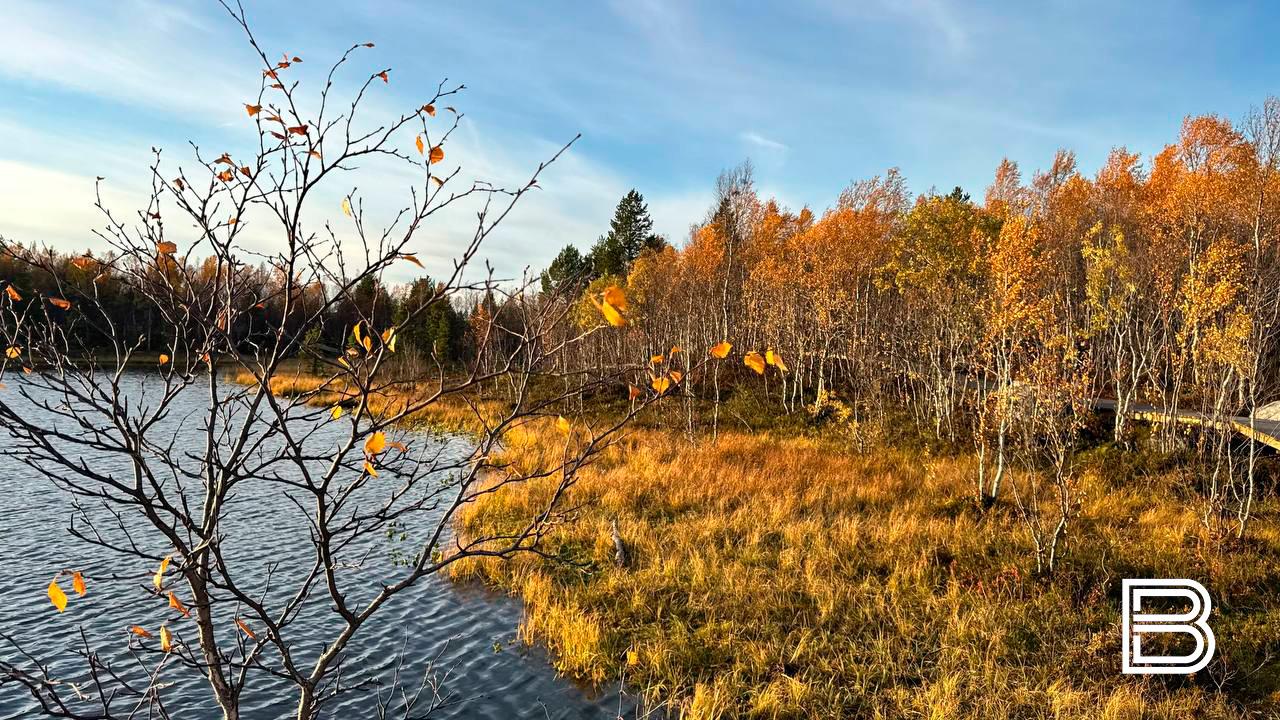 Прогноз погоды в Мурманской области на 30 сентября