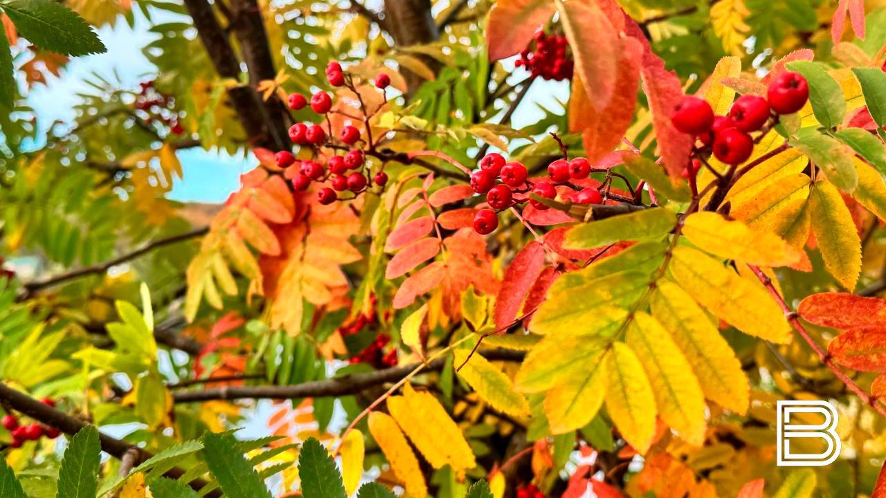 В Мурманской области 1 октября воздух прогреется до плюс 11 градусов