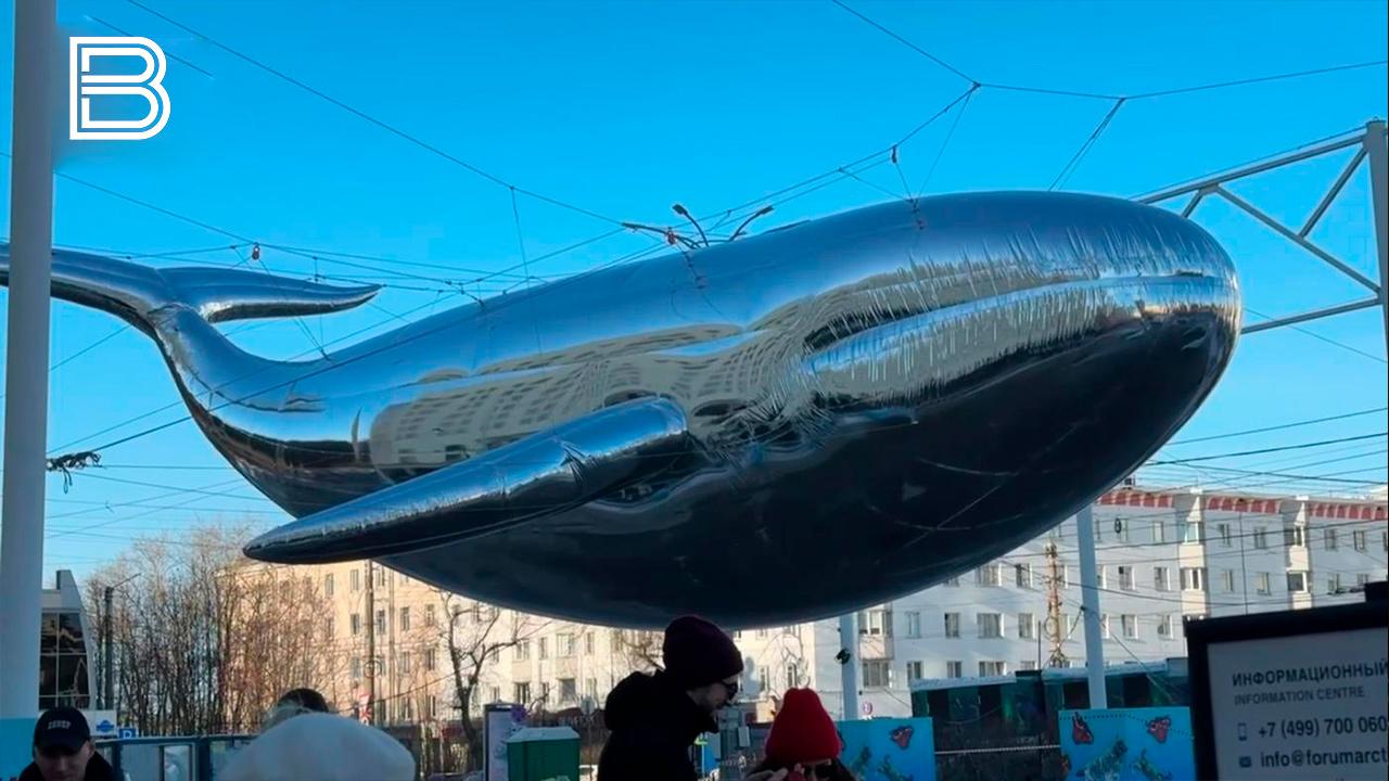 Кита в центре Мурманска на время зимы заменит новогодняя елка