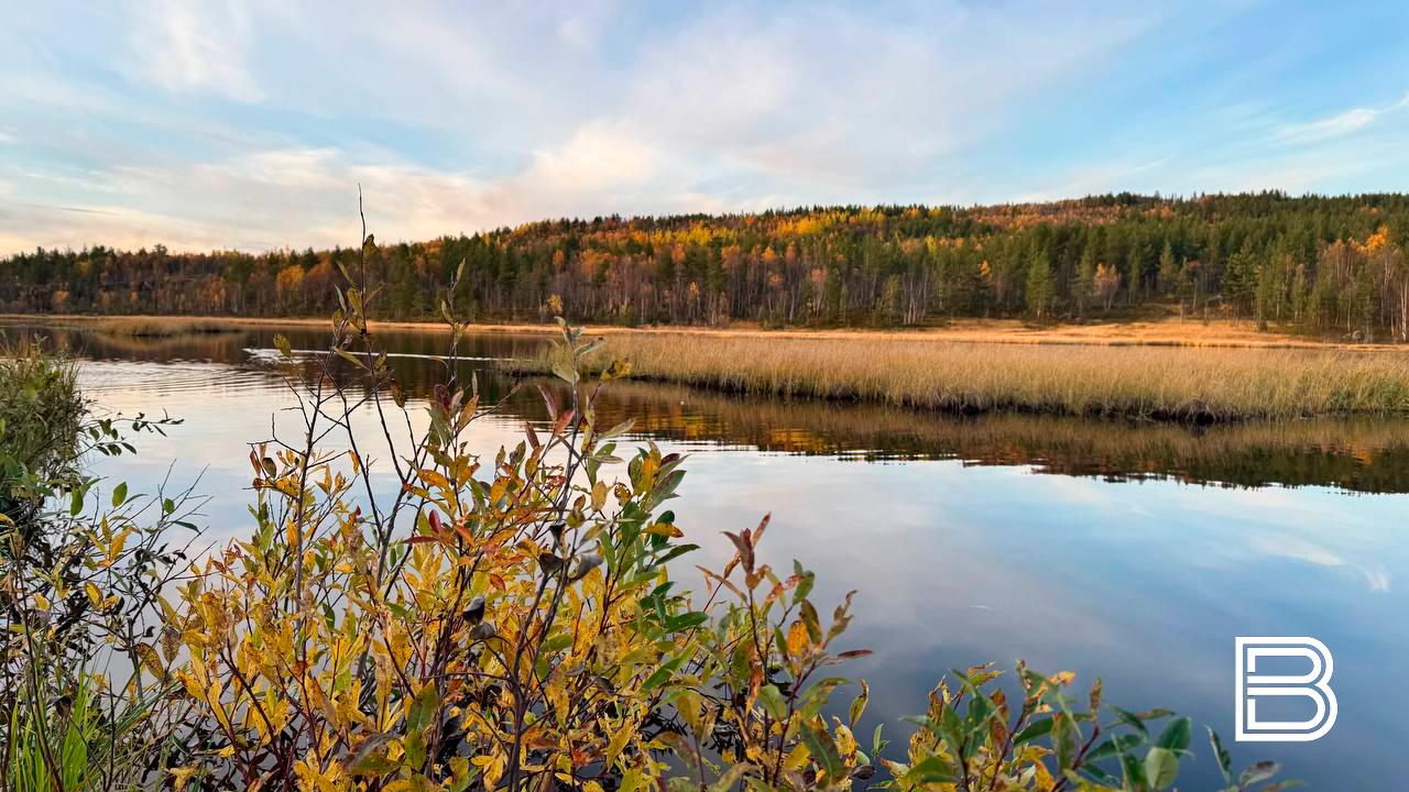 Прогноз погоды в Мурманской области на 4 октября