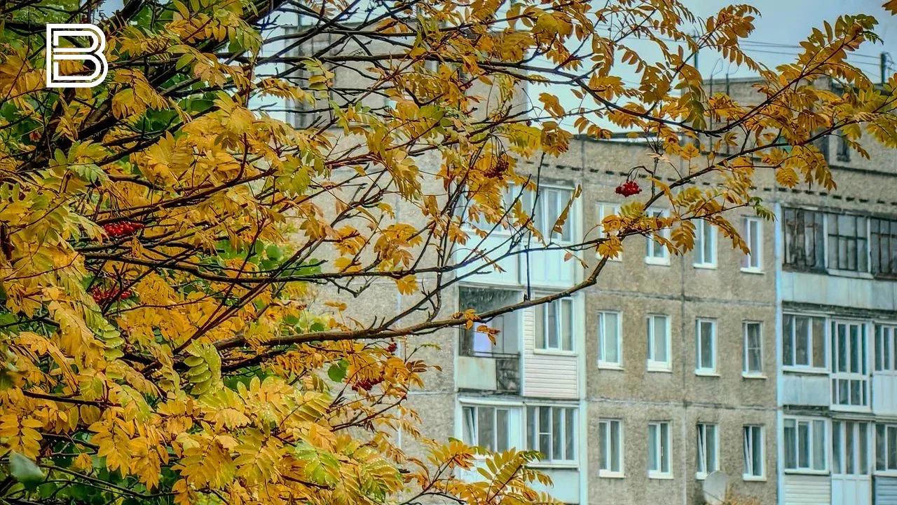 Прогноз погоды по Мурманской области на 5 октября 