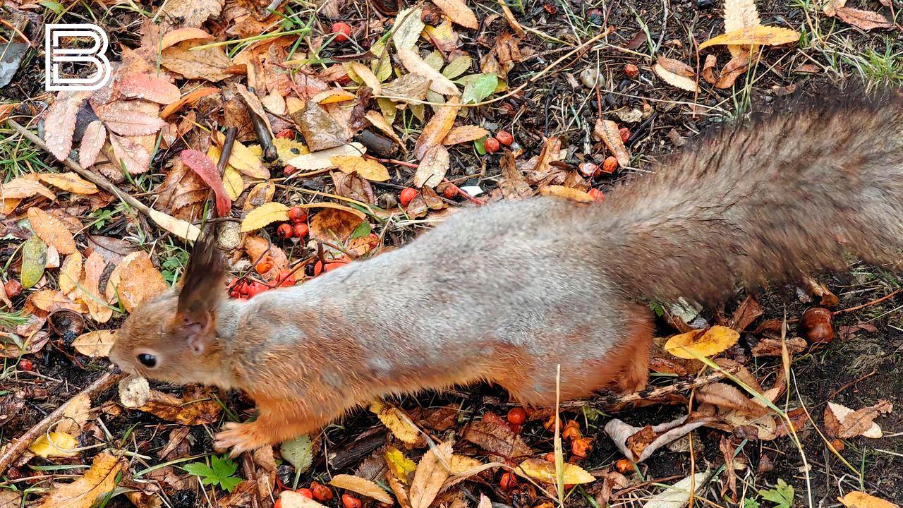 Прогноз погоды по Мурманской области на 6 октября